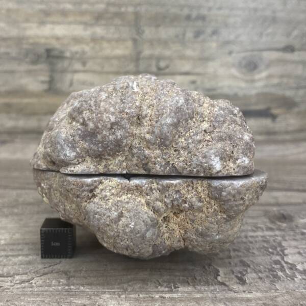 Géode de Quartz