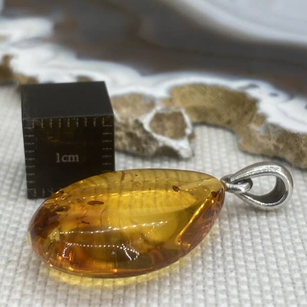 Pendentif en Ambre baltique