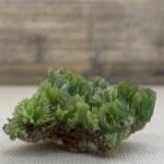 Pyromorphite