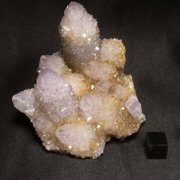 Amethyste Cactus