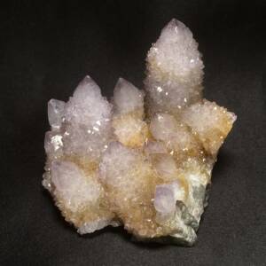 Amethyste Cactus