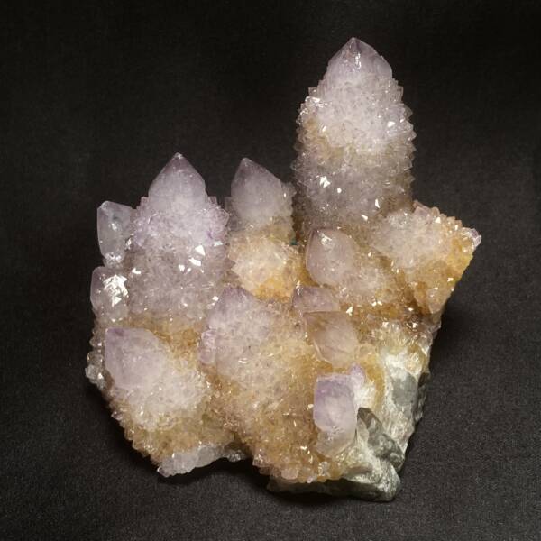 Amethyste Cactus
