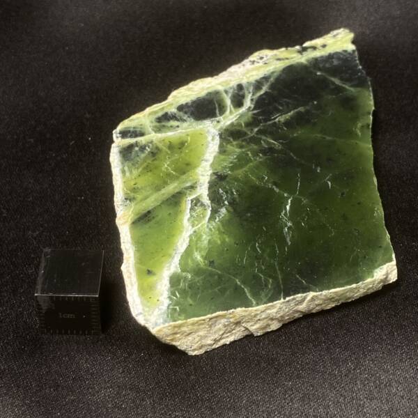 Serpentine
