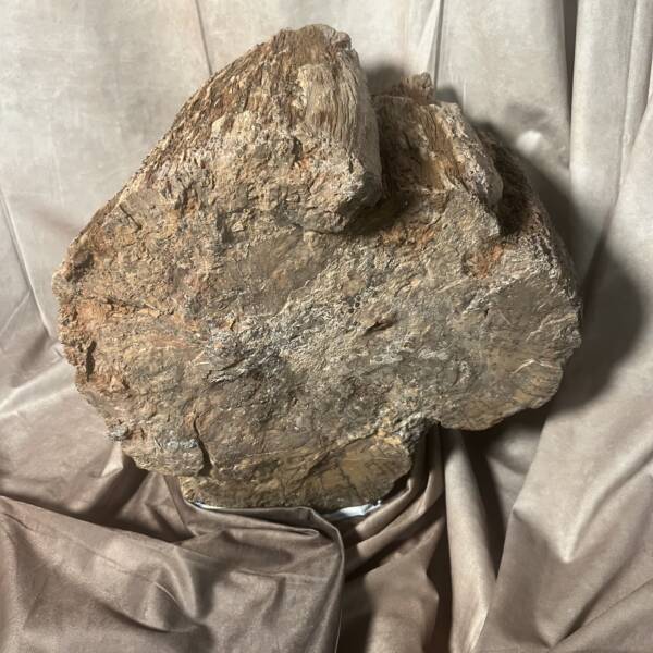 Bois Brute