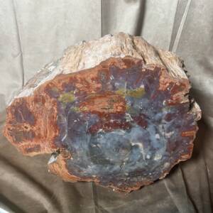 Bois Fossile