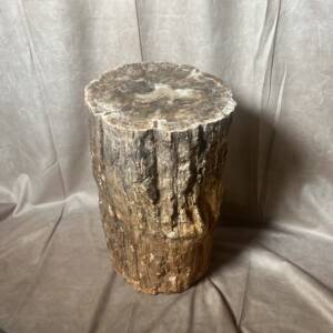 Bois Fossile