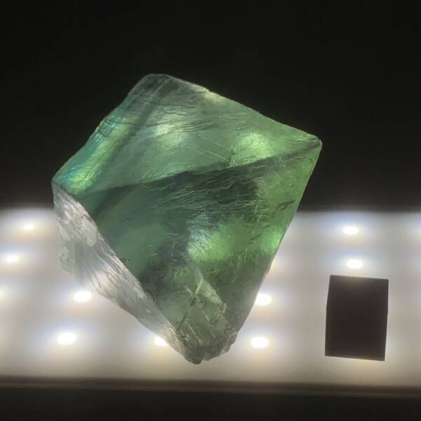 Fluorine