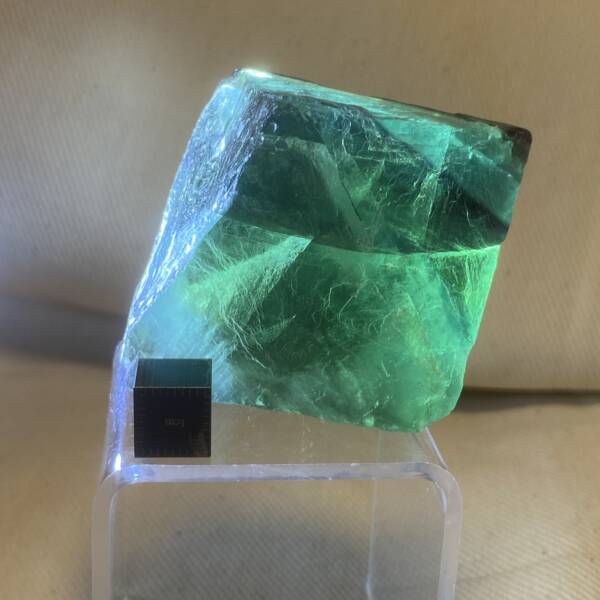 Fluorine