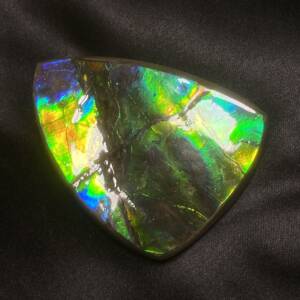 Ammolite
