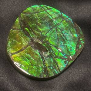 Ammolite