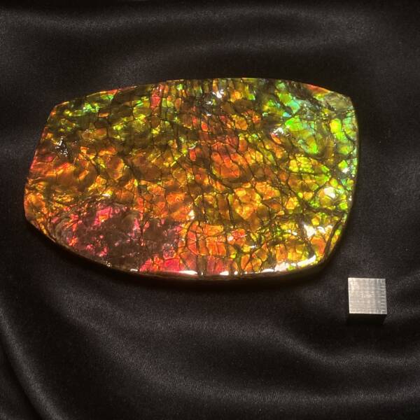Ammolite
