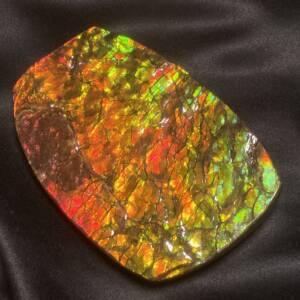 Ammolite