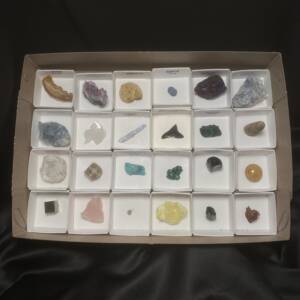 Collection Minéraux et Fossiles