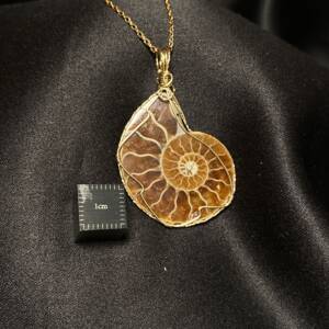 Pendentif Ammonite