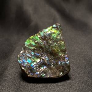 Ammolite