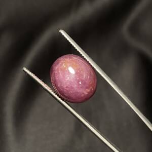 Cabochon Rubis