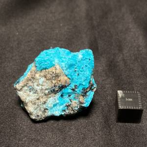 Chrysocolle