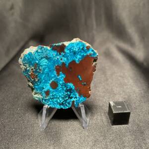 Tranche de Chrysocolle