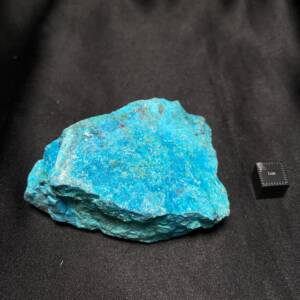 Chrysocolle