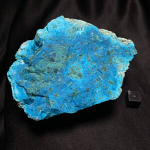 Chrysocolle