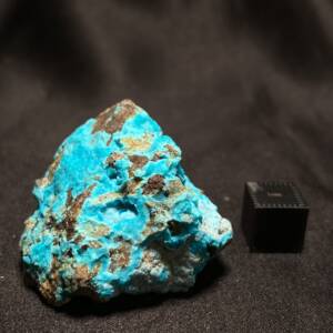 Chrysocolle