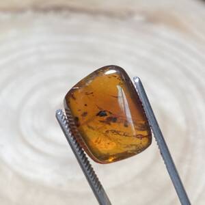 Ambre