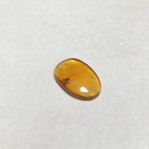 Ambre fossile avec insecte