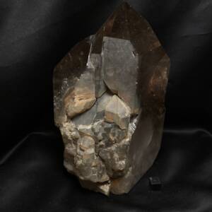 Quartz Morion