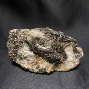 Anthophyllite