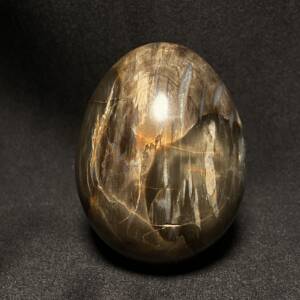 Œuf en Bois Fossile