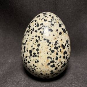 Œuf en Jaspe Dalmatien