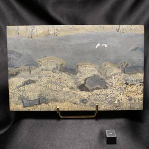 Pierre Paysage