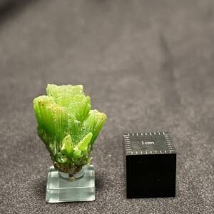 Pyromorphite